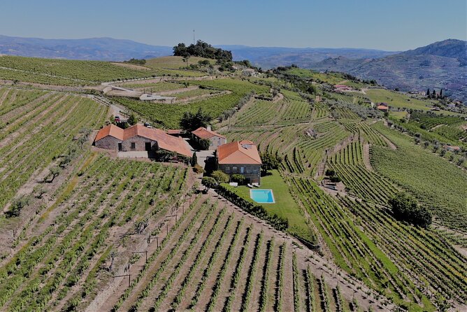 Winery Tour and Wine Tasting Quinta da Portela de Baixo in Lamego - Practical Details and Tips
