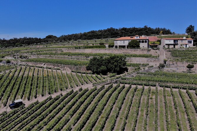 Winery Tour and Wine Tasting Quinta da Portela de Baixo in Lamego - Final Thoughts on Quinta da Portela de Baixo