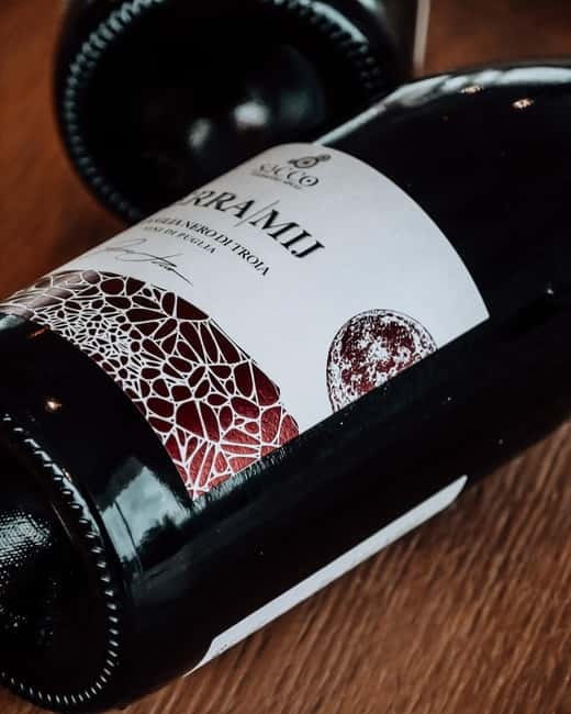 Winery tour and wine tasting - Explore the Charm of Apulia with a Winery Tour and Wine Tasting