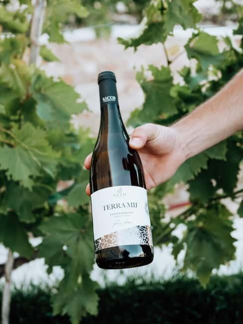 Winery tour and wine tasting - The Classic Winery Tour and Tasting Experience