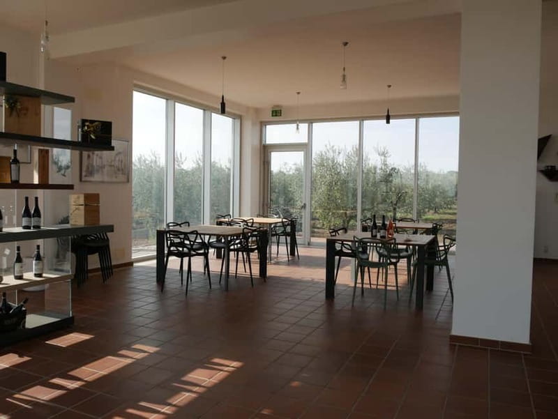 Winery tour and wine tasting - Tasting the Top-Range Nero di Troia Magis