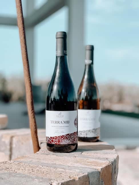 Winery tour and wine tasting - The Experience at SACCO VIGNAIOLI APULI