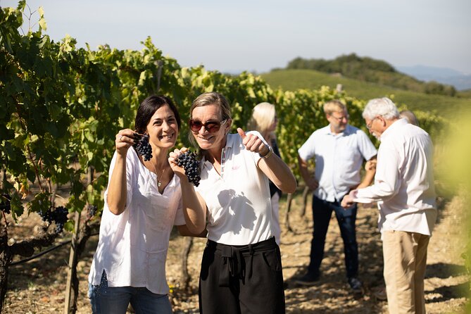 Winery Tour & Gourmet Tasting in Montalcino - The Role of Nature and Human Touch in Flavor