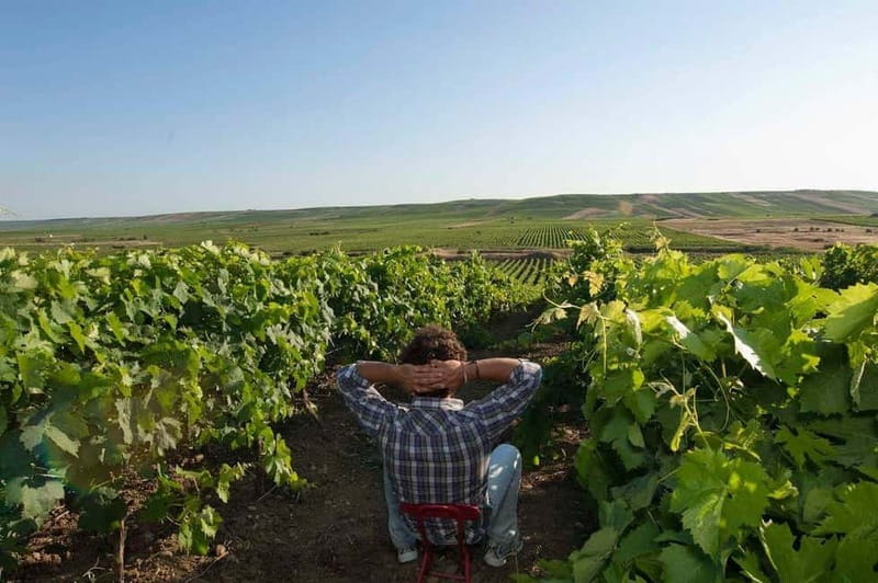 Winery tour in Marsala with wine tasting and local products - Discover the Charm of a Private Winery Tour in Marsala