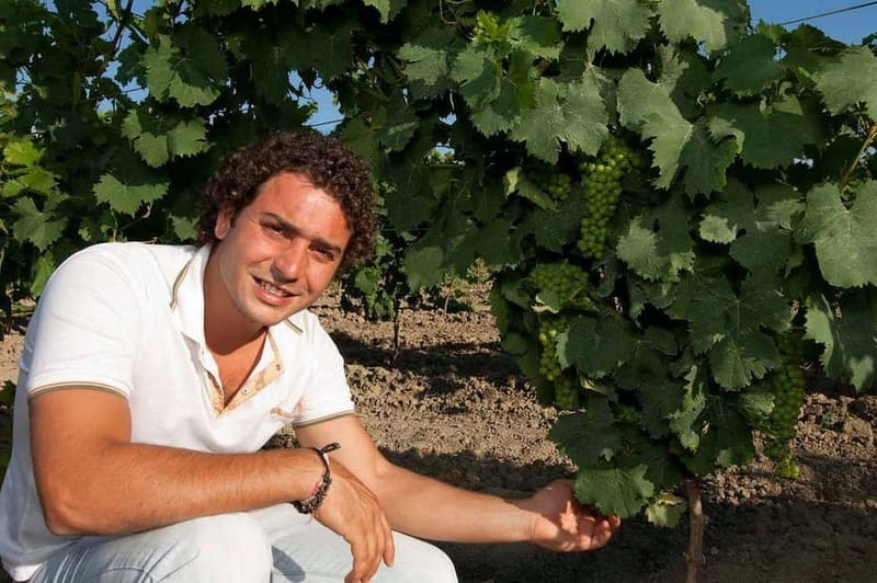 Winery tour in Marsala with wine tasting and local products - Exploring the Wine Production Process and Cellar Rooms