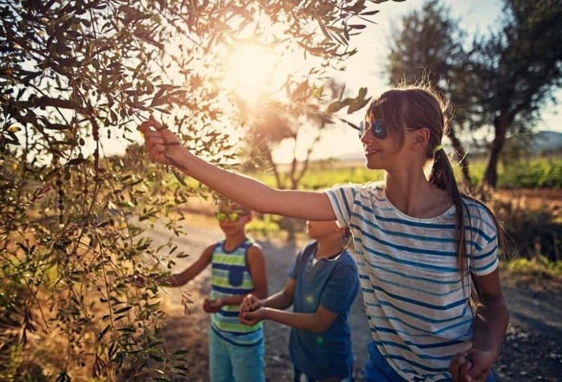 Winery tour in Marsala with wine tasting and local products - The Value of the Winery Experience in Marsala