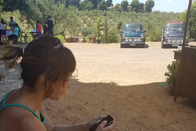 Winery Tour in Mini Cooper Classic Cabrio wine testing and lunch - Why This Tour Excels for Cultural and Food Enthusiasts