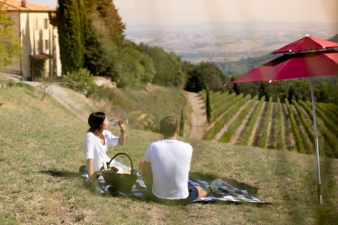 Winery Tour & picnic in the vineyard with a bottle of wine - Exploring the Vineyard and Cellar at Corte Pavone