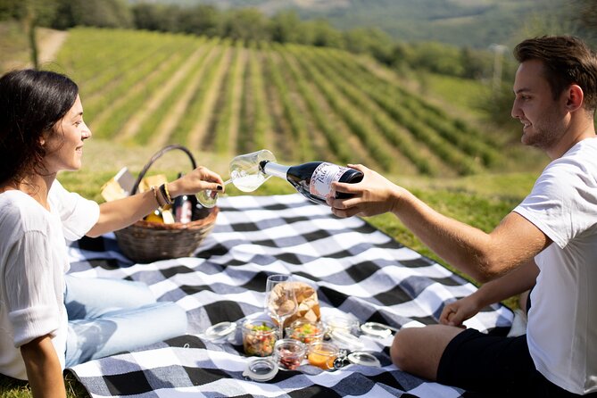Winery Tour & picnic in the vineyard with a bottle of wine - Potential Limitations and Tips