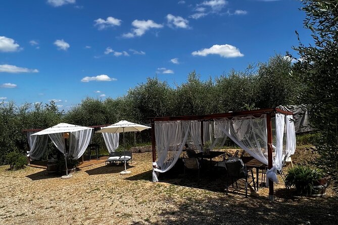 Winery Tour & Tasting in Pisa Countryside - The Food Pairings and Local Flavors