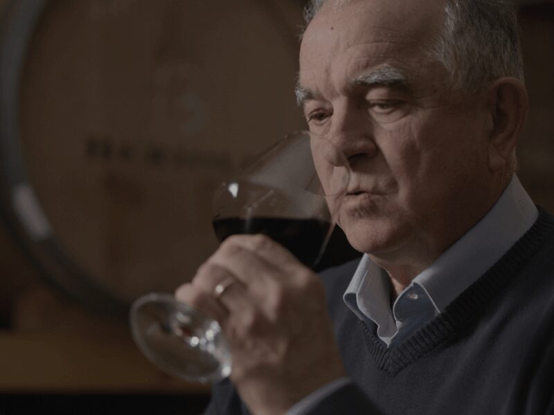 Winery Tour & Tasting near Lake Trasimeno & Perugia - Key Points