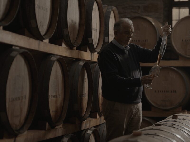 Winery Tour & Tasting near Lake Trasimeno & Perugia - Tasting the Six Wines Paired with Local Flavors