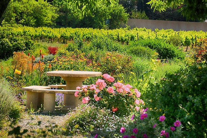 Winery Tour & Wine Tasting - Deli Plate & 3 Wines - Timing, Group Size, and Practical Details