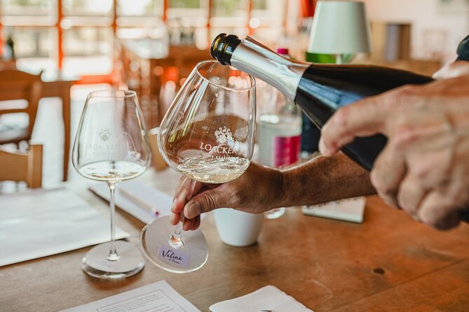 Winery tour & wine tasting in Montalcino - Corte Pavone: The Starting Point for Your Wine Journey