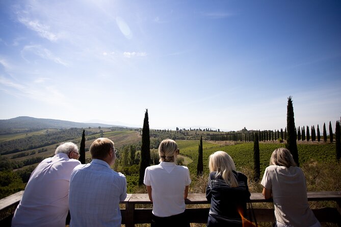 Winery tour & wine tasting in Montalcino - The View and Atmosphere: Montalcinos Panoramic Backdrop