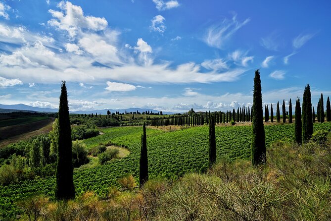 Winery tour & wine tasting in Montalcino - Practical Details and Group Size