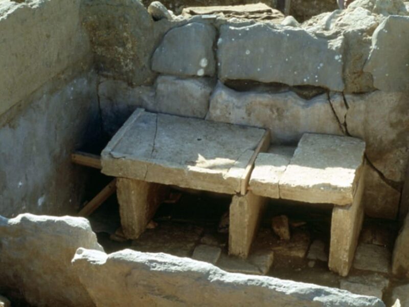 Winery Tour & Wine Tasting with Food near Livorno & Pisa - The Guided Tour and Its Personal Touch