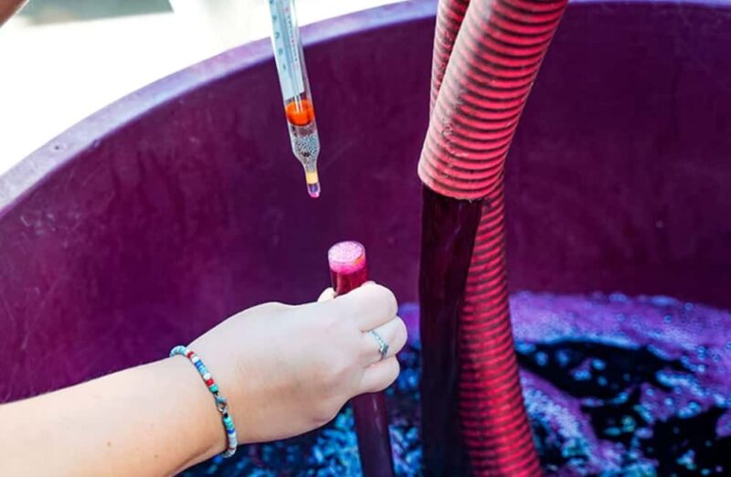 Winery Tour with Organic Wine Tasting & Lunch near Pompeii - What Sets This Tour Apart from Others