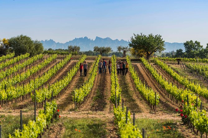 Winery Tour with Private Luxury Vehicle from Barcelona with Hotel pick up - Discover Catalan Wines in Style with a Private Luxury Tour from Barcelona