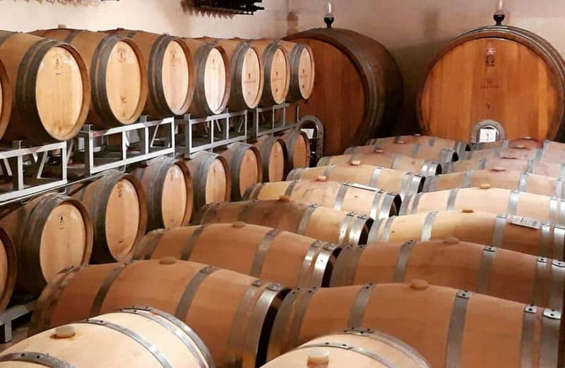 Winery Tour with Wine & Food Tasting near Riccione & Rimini - Savoring Five Wines Paired with Local Bites