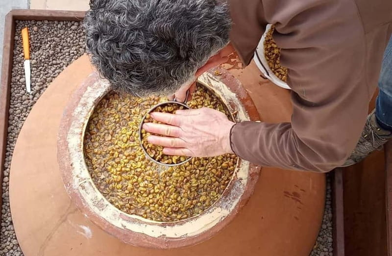 Winery Tour with Wine & Food Tasting near Riccione & Rimini - Accessibility and Booking Flexibility