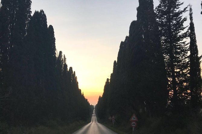 Winery tours and tastings in Bolgheri with Wine Guide - Explore Bolgheris Famous Wine Region with a Guided Tour