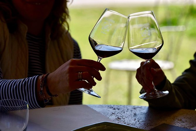 Winery tours and tastings in Bolgheri with Wine Guide - The Experience Provider and Contact Information
