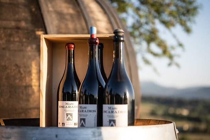 Winery visit / tasting in the vineyards, Mas des Escarades - Key Points