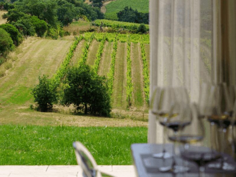 Winery Visit & Tasting near Grosseto with 6 wines - The Value and Overall Quality of the Experience