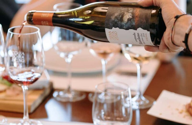 Winery Visit & Tasting on the Volcanic Slopes near Catania - Explore Mount Etna’s Unique Vineyards and Organic Wines for €51