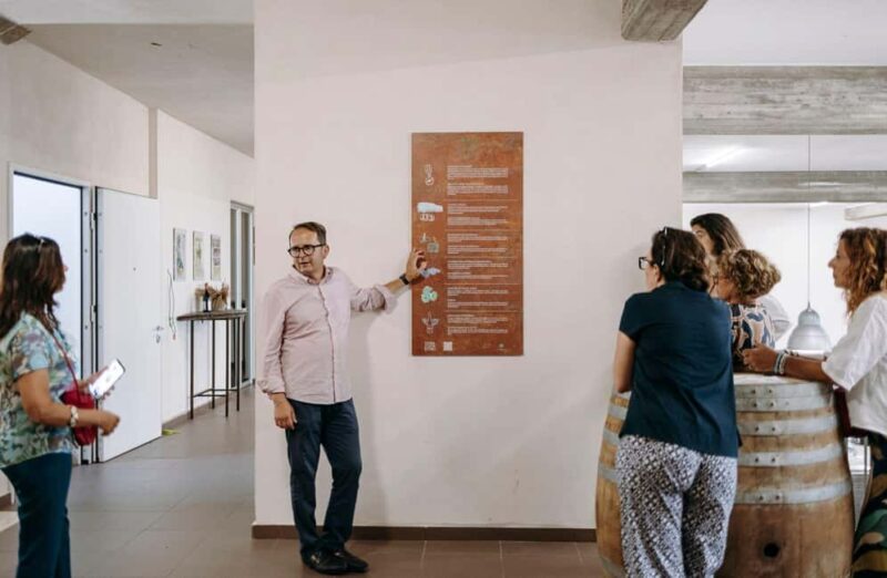 Winery Visit & Tasting on the Volcanic Slopes near Catania - Sustainability and Authentic Family Heritage