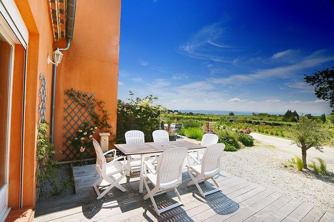 Winery Visit with Food and Wine in Carcassonne - Discover the Charm of OVineyards in Carcassonne