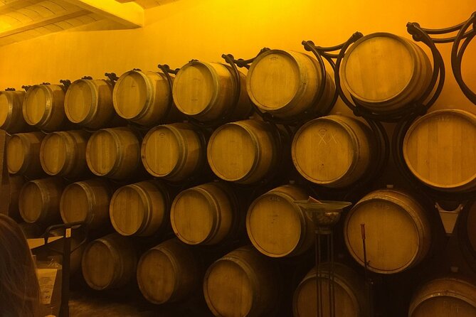 Winery Visit with Food and Wine in Carcassonne - Flexibility and Booking Details