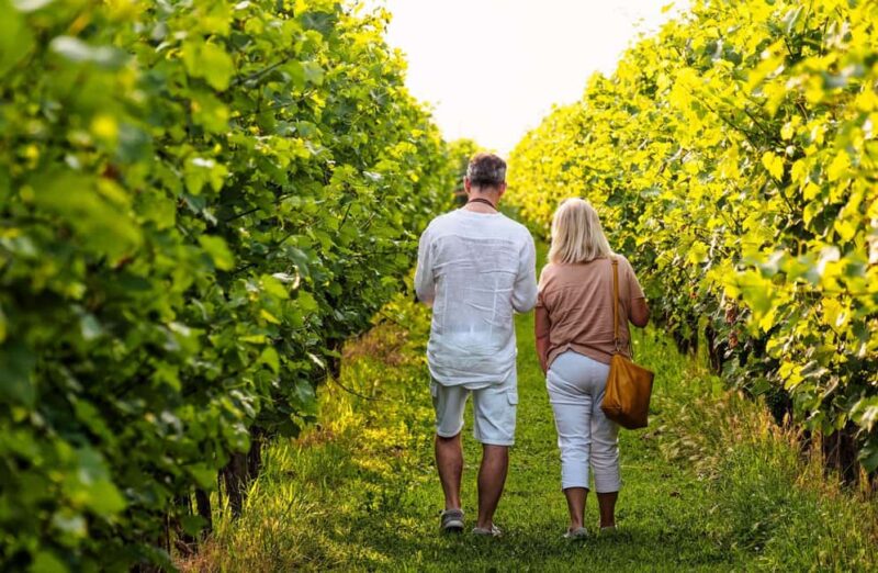 Winery Visit with Wine & Food Tasting near Ravenna - Discover the Flavors of Emilia-Romagna with a Winery Visit near Ravenna