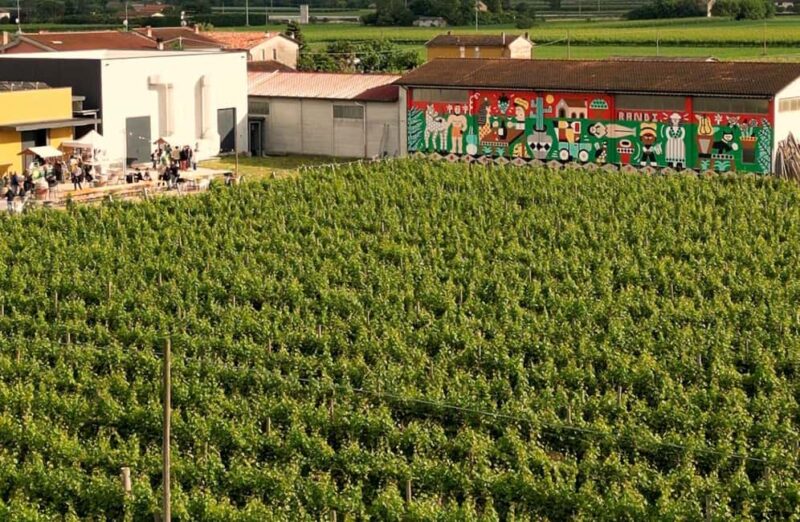 Winery Visit with Wine & Food Tasting near Ravenna - The Wine Tasting: Four Regional Wines and Local Snacks