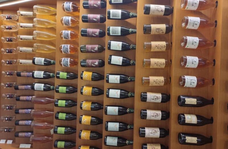 Winery Visit with Wine & Food Tasting near Ravenna - Guided Tour with Expert Insights in English and Italian