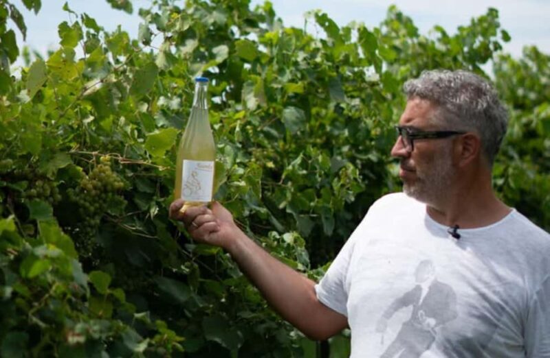 Winery Visit with Wine & Food Tasting near Ravenna - Frequently Asked Questions