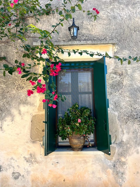 Winery Winery Olive Oil Tasting Traditional lunch - Discover a Family-Run Winery Managed by a Greek Family