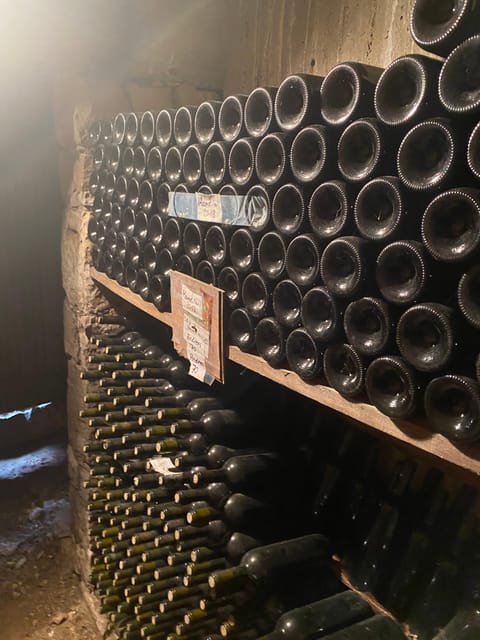 Winery Winery Olive Oil Tasting Traditional lunch - Logistics and Group Size