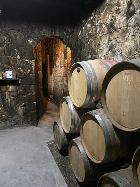 Winery Winery Olive Oil Tasting Traditional lunch - Final Thoughts on the Crete Winery and Olive Oil Tour