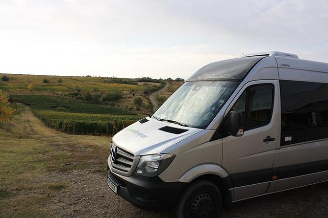 Wines of Wallachia  8 hours - Tasting at the First Winery with a Wine Expert