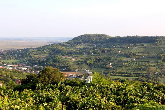 Winetaste in Villany, and visiting Pécs, on a private tour - How the Tour Combines Sightseeing and Wine Tasting