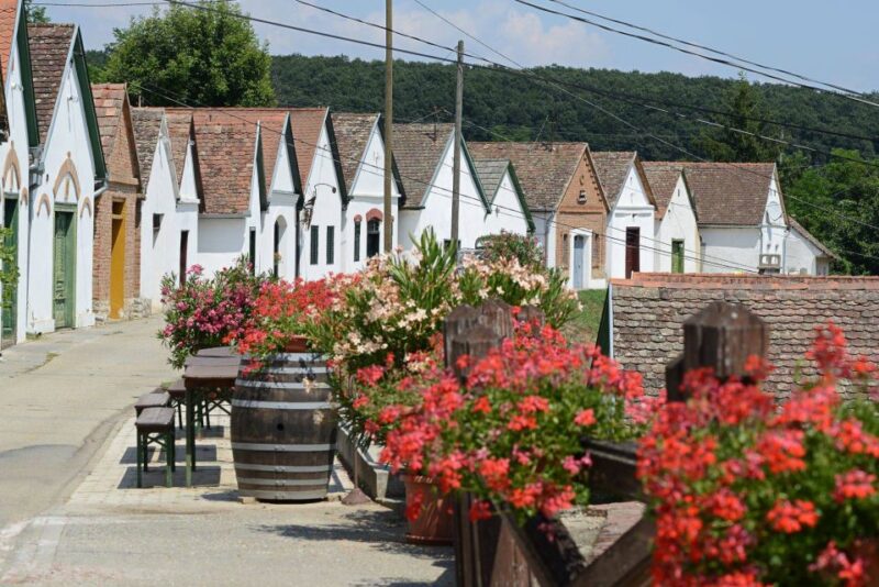 Winetaste in Villany, sightseeing in Pécs, private tour - Tasting Hungary’s Prizewinning Wines in Villány and Siklós