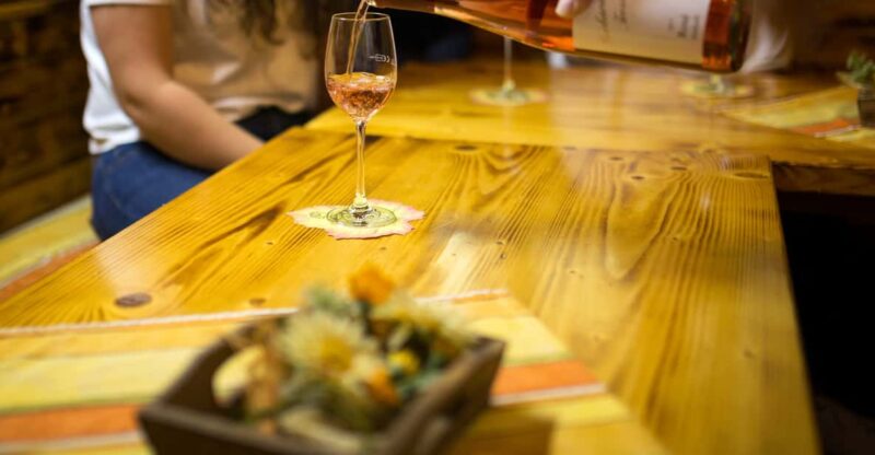 Winetasting with tour through the winery - In-Depth Exploration of the Winemakers Year