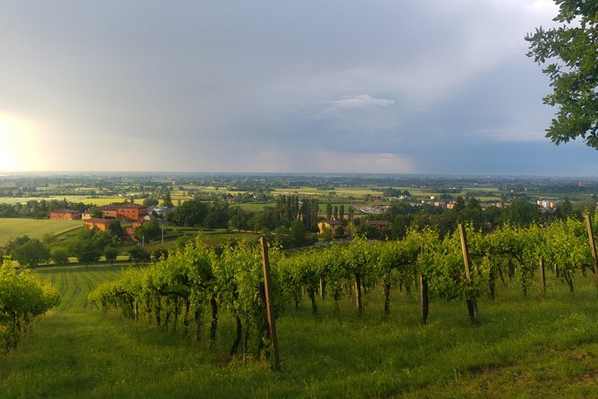 Winetour and tasting on Bologna hills, guided by the wine grower - The Scenic Setting and Panoramic Views