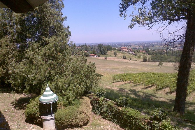 Winetour and tasting on Bologna hills, guided by the wine grower - Frequently Asked Questions