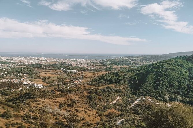 WineTour Palmela - Cheese, Wine & Bread - The Experience Guide: Passionate and Knowledgeable