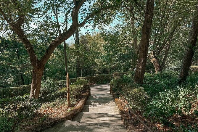 WineTour Palmela - Cheese, Wine & Bread - Final Thoughts on the Palmela Wine, Cheese & Bread Tour