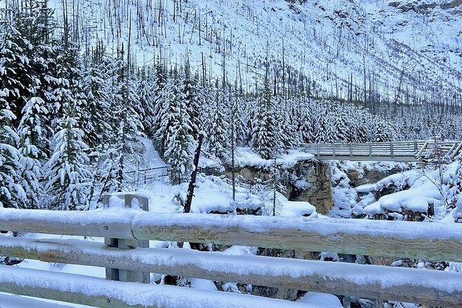 Winter 3 Days- Banff, Yoho, Canyons & Gondola - Discovering Banff Town and Its Iconic Sights