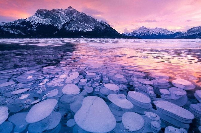 Winter Abraham Bubble Lake and Icefield Parkway - Flexibility and Booking Details
